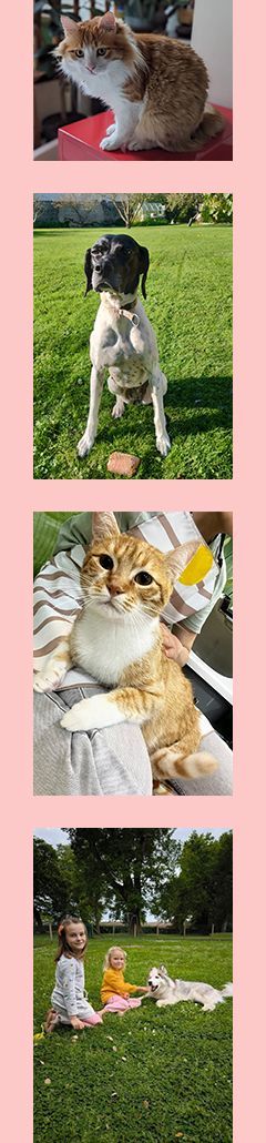 ads fr home 1