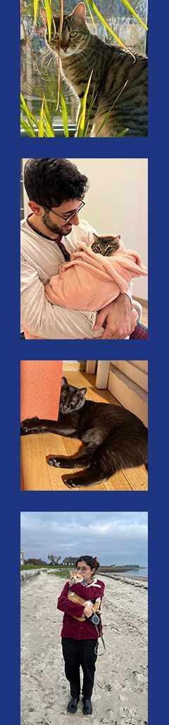 ads fr home 2
