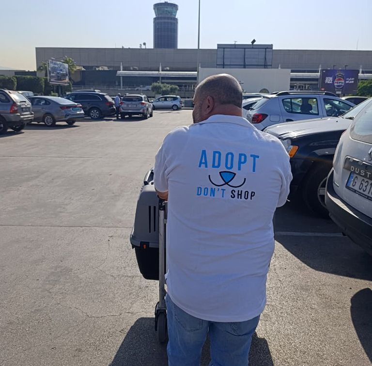 agir 1