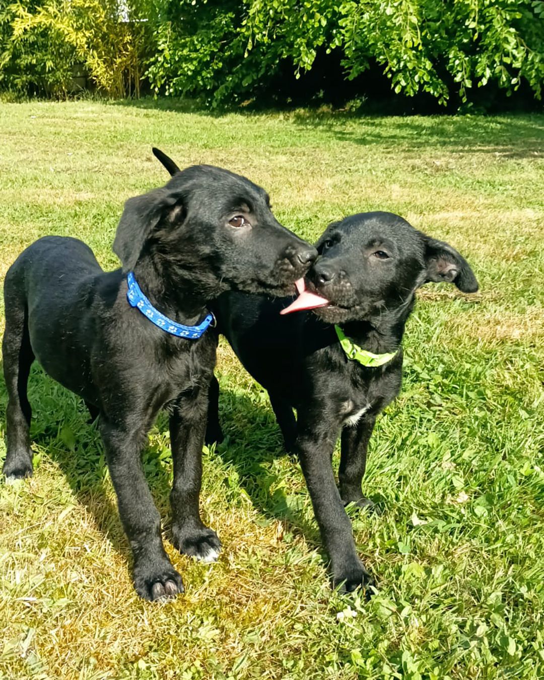 Jeff & Bounty (1)