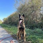 tobi (2)